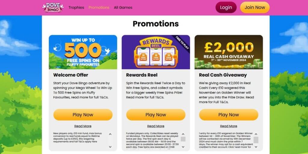 Dove Bingo Casino Promotions